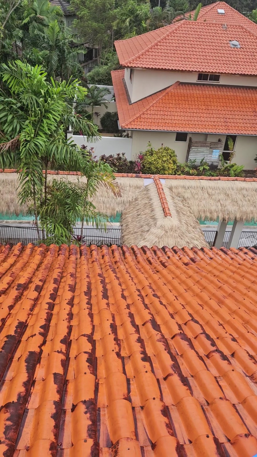 Terracotta roof tiles being softwashed, looking down over a villa roof in Port Douglas
